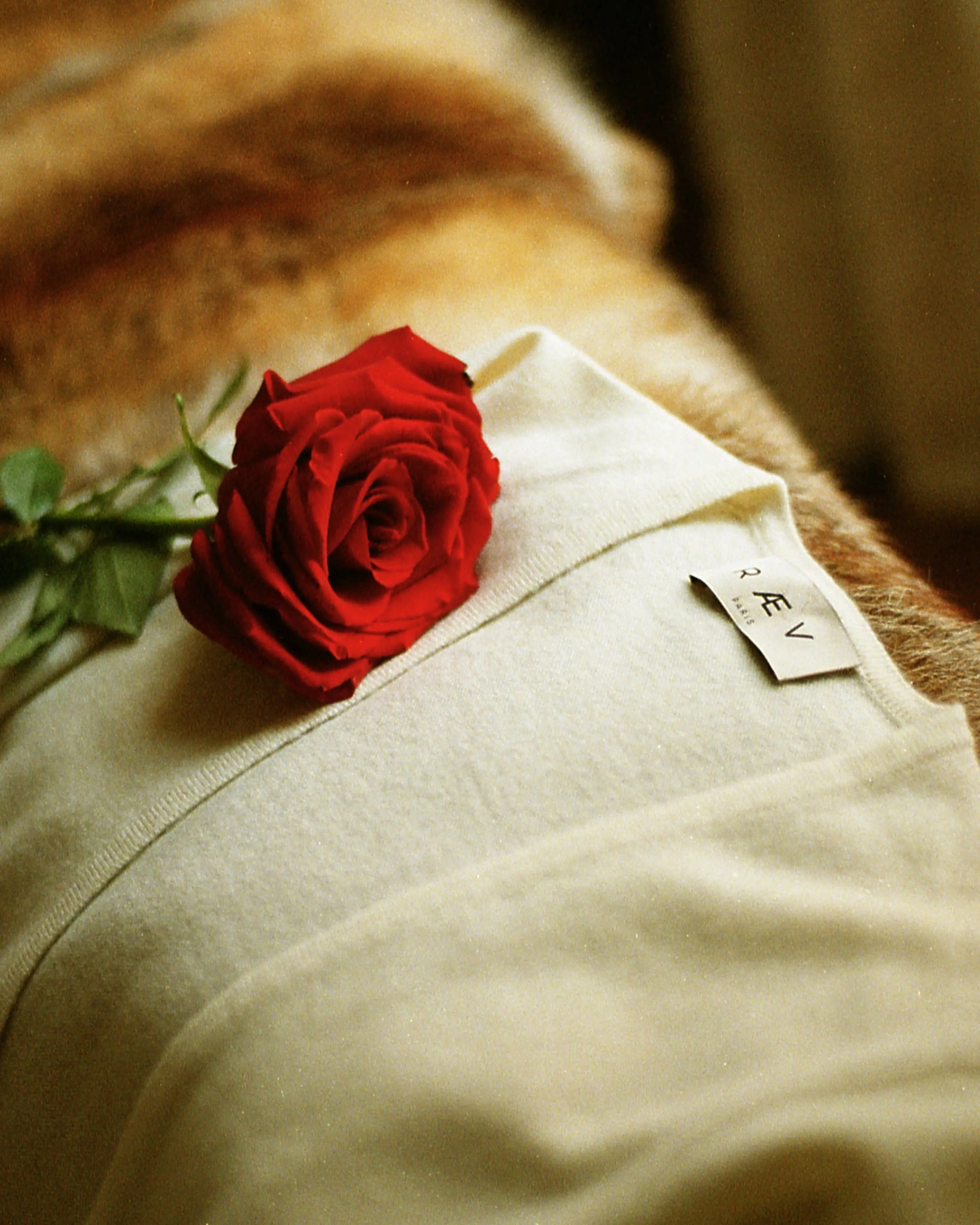 Sculpted Temptation Ivory Top - White Cashmere Wool Knitwear - Red Rose